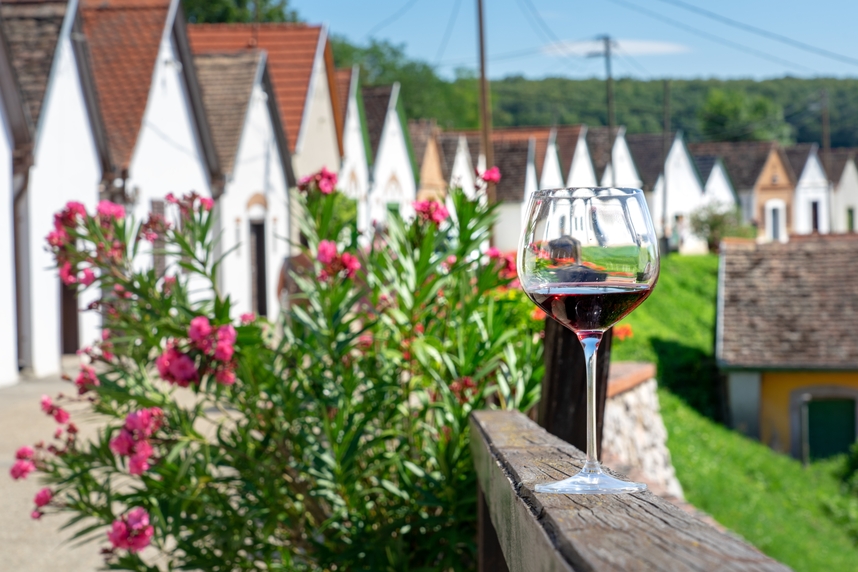 Vini ungheresi: storia, zone di produzione e vitigni Vini ungheresi: storia, zone di produzione e vitigni